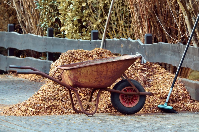 Mulching in a garden