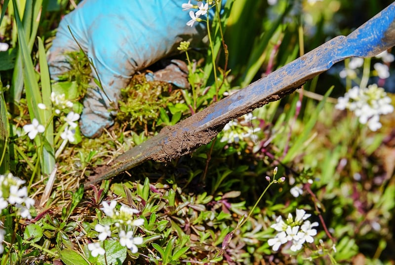 Using a hoe in the garden
